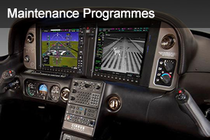 Maintenance Programmes
